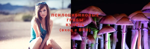 spice Надым