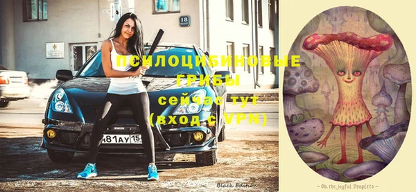 spice Надым