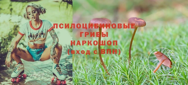 мдпв Навашино