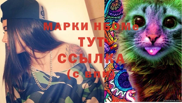 spice Надым