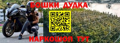 СК Гусев