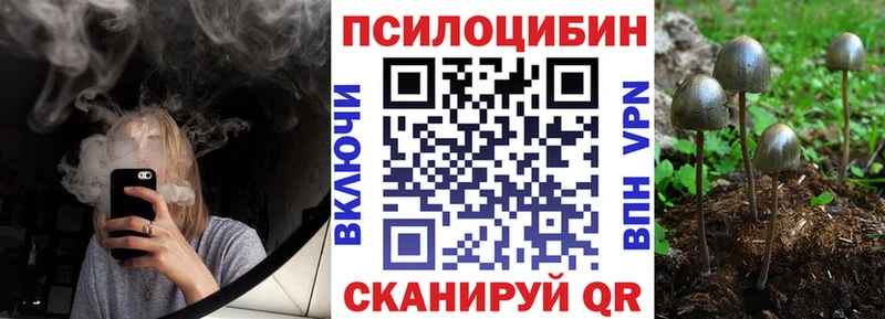 Галлюциногенные грибы Psilocybe  Ипатово 