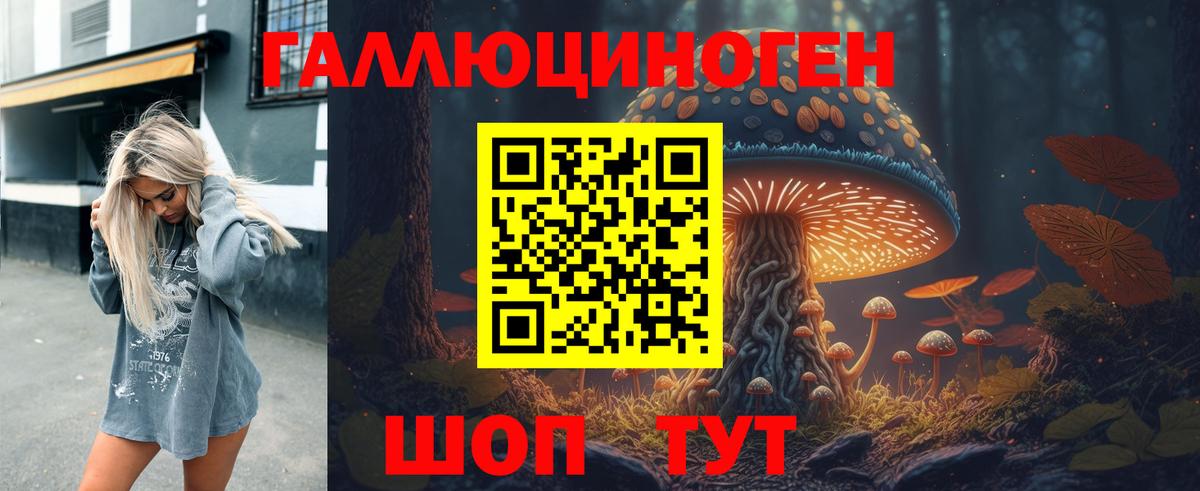 Псилоцибиновые грибы мицелий Ипатово