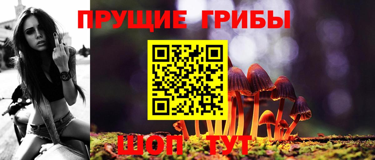Галлюциногенные грибы MAGIC MUSHROOMS  Вход с VPN  Ипатово 