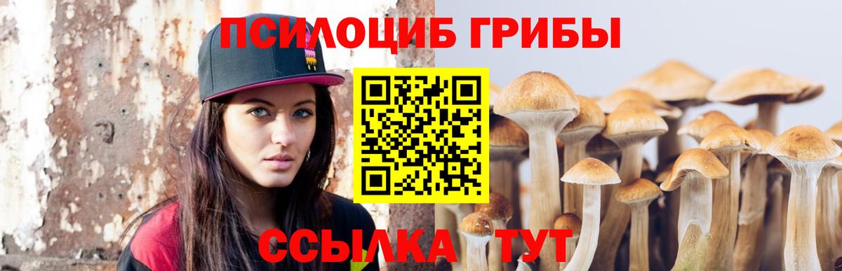 Псилоцибиновые грибы Psilocybe  Ипатово  Псилоцибиновые грибы ЛСД 